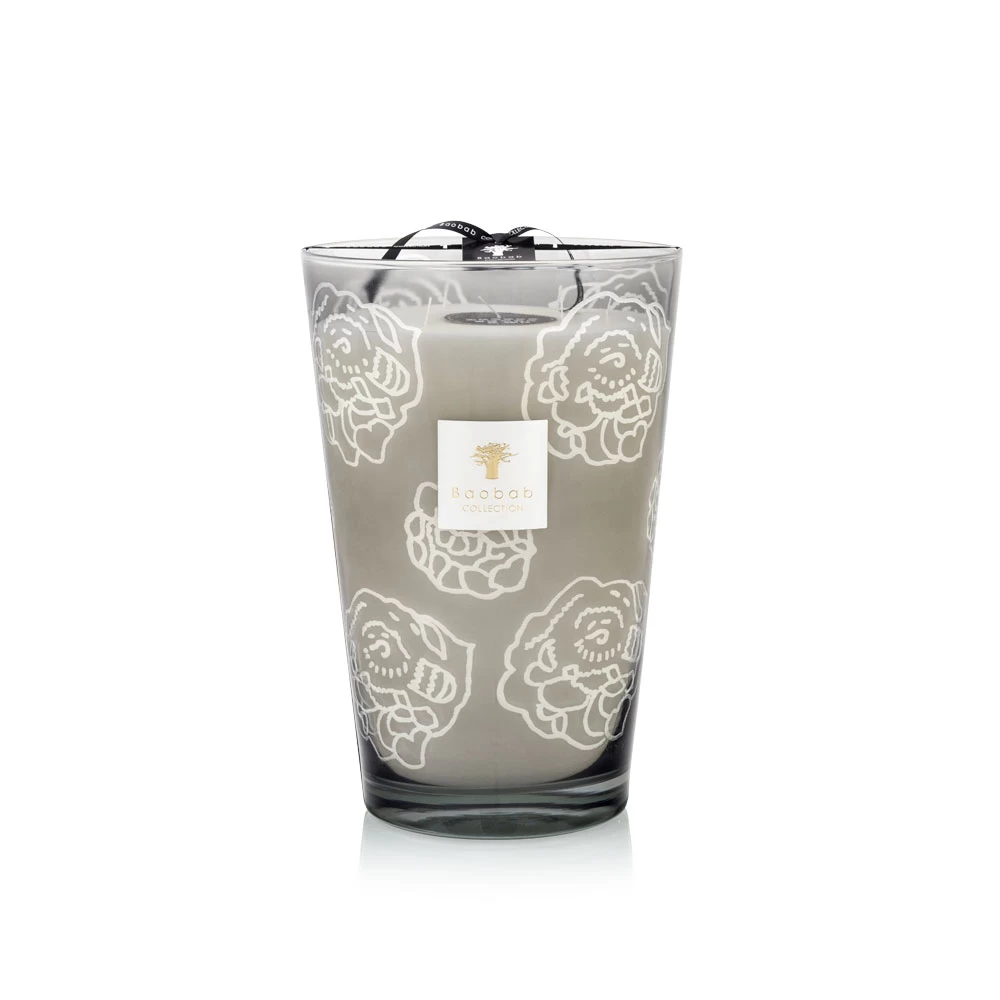 Baobab Collectible Roses Grey Candle Max 35
