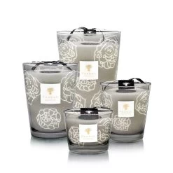Baobab Collectible Roses Grey Candles