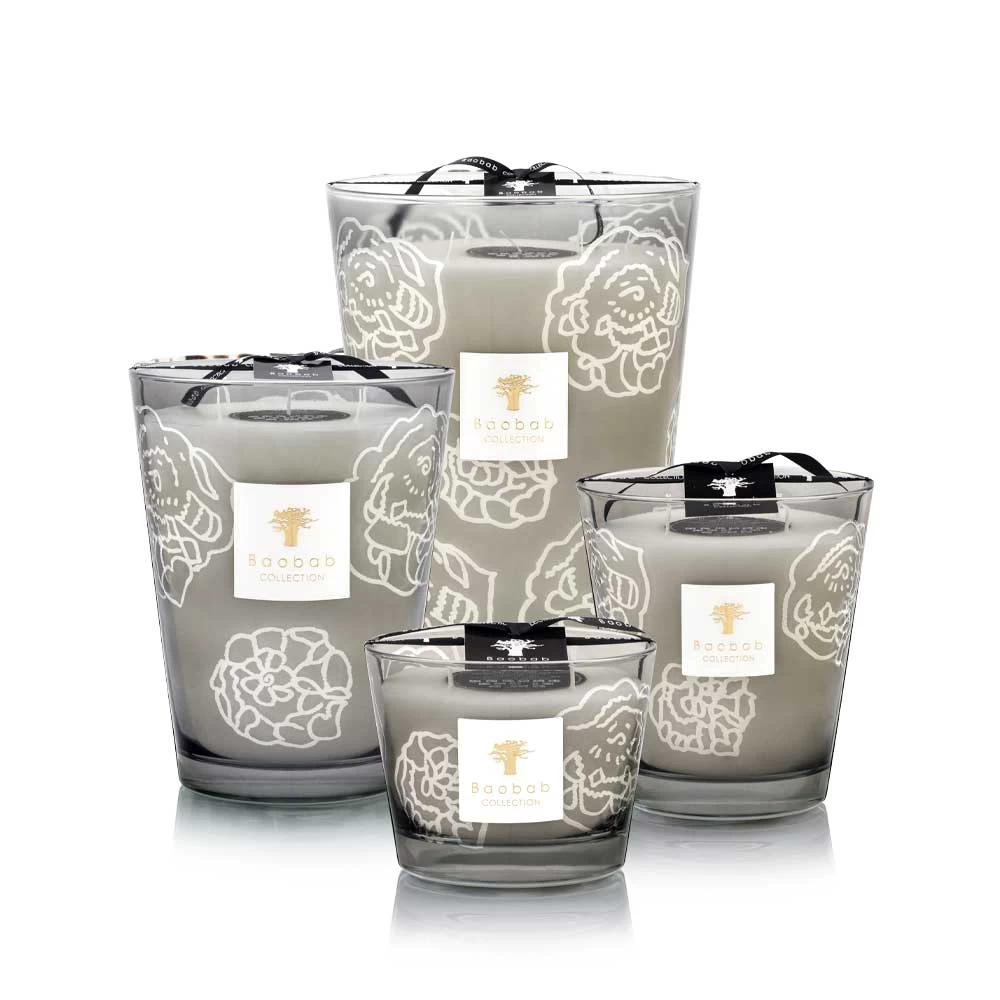 Baobab Collectible Roses Grey Candles
