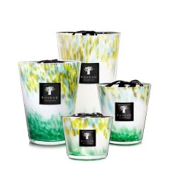 Baobab Eden Forest Candles