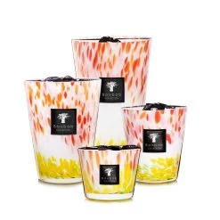 Baobab Eden Garden Candles