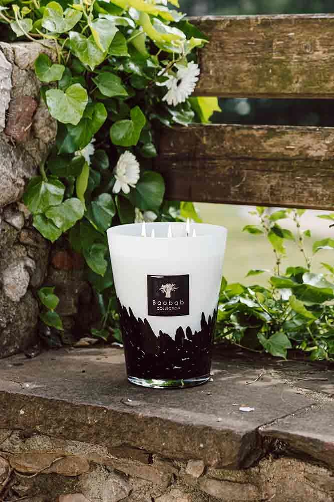 Baobab Feathers Candles - Image 2