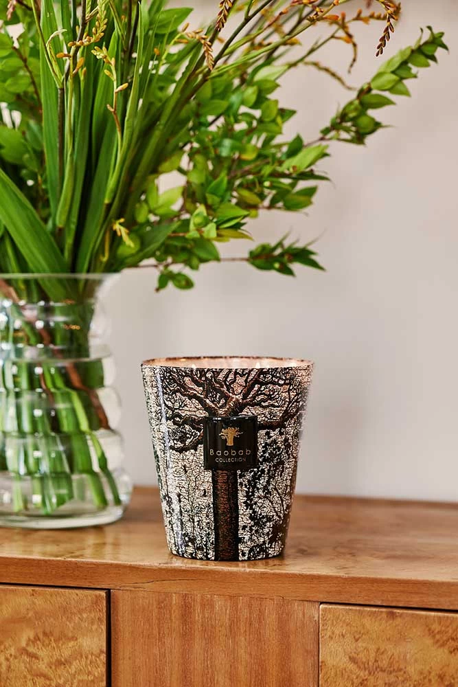 Baobab Sacred Trees Morondo Candle Max 24 - Image 2