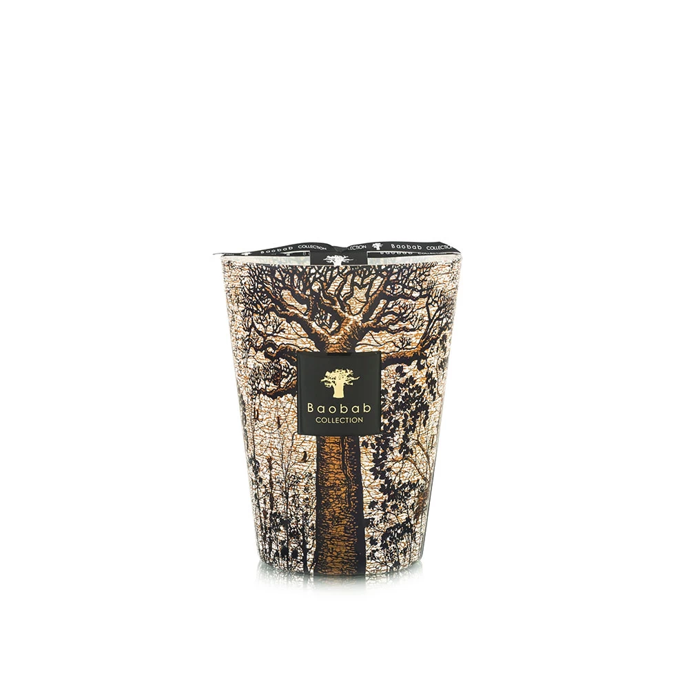 Baobab Sacred Trees Morondo Candle Max 24