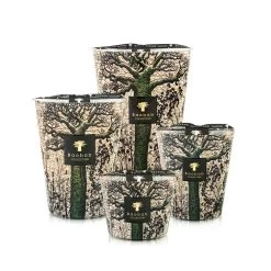 Baobab Sacred Trees Kani Candles
