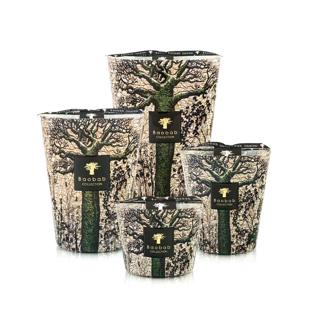 Baobab Sacred Trees Kani Candles