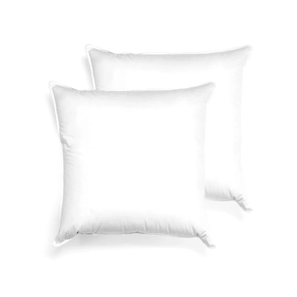 Ogallala 22” X 22” Throw Pillow Insert