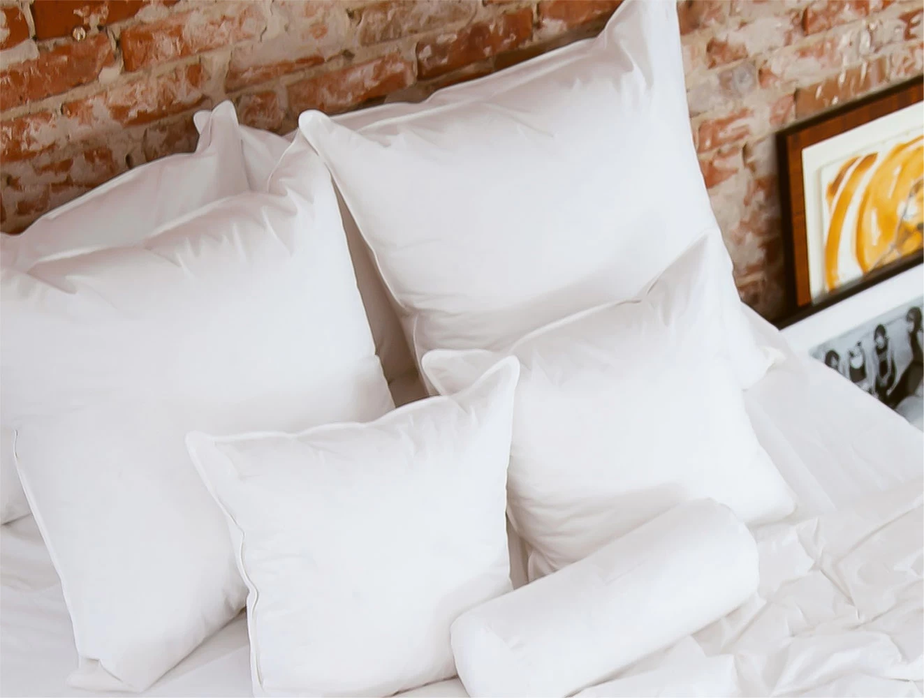 Ogallala 20β X 20β Throw Pillow Insert - Image 3