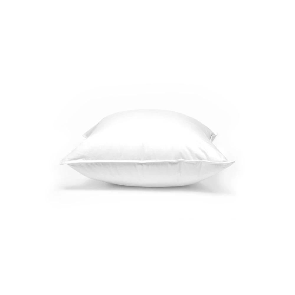 Ogallala 20β X 20β Throw Pillow Insert - Image 2