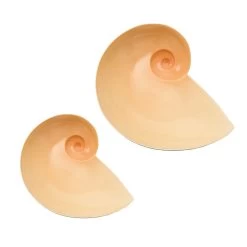 Nymphenburg Moon Snail Bowls Shell Pink