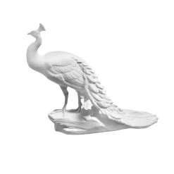 Nymphenburg Porcelain Peacock White Bisque