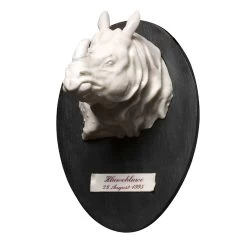 Nymphenburg Rhinoceros Hunting Trophy