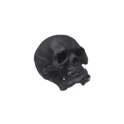 Nymphenburg Skull Small In Black Bisque