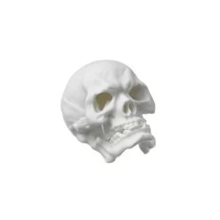 Nymphenburg Skull Small In White Bisque