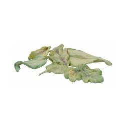 Nymphenburg Table Flowers: Leaf Set Painted