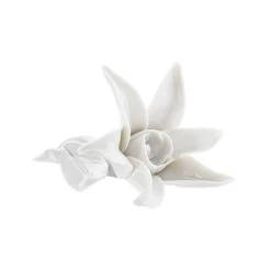 Nymphenburg Table Flowers: Starflower