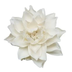 Nymphenburg Table Flowers: Water Lily Rich