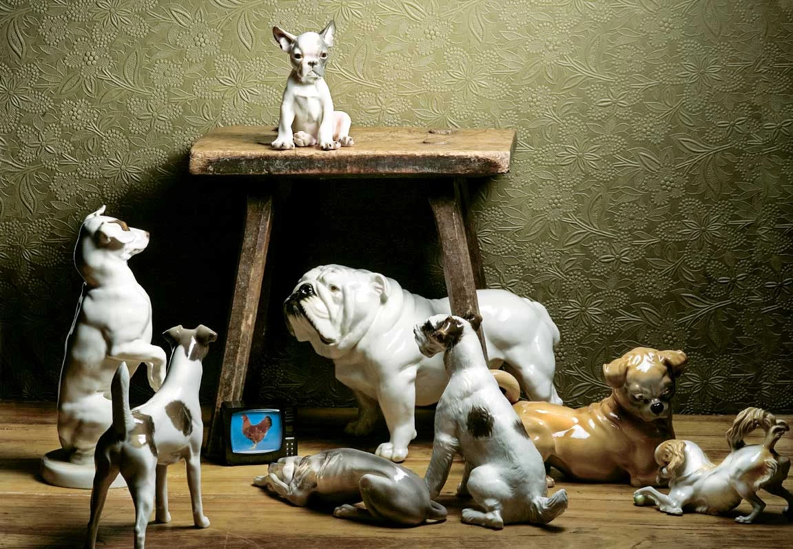 Nymphenburg Bull Terrier Dog - Image 3