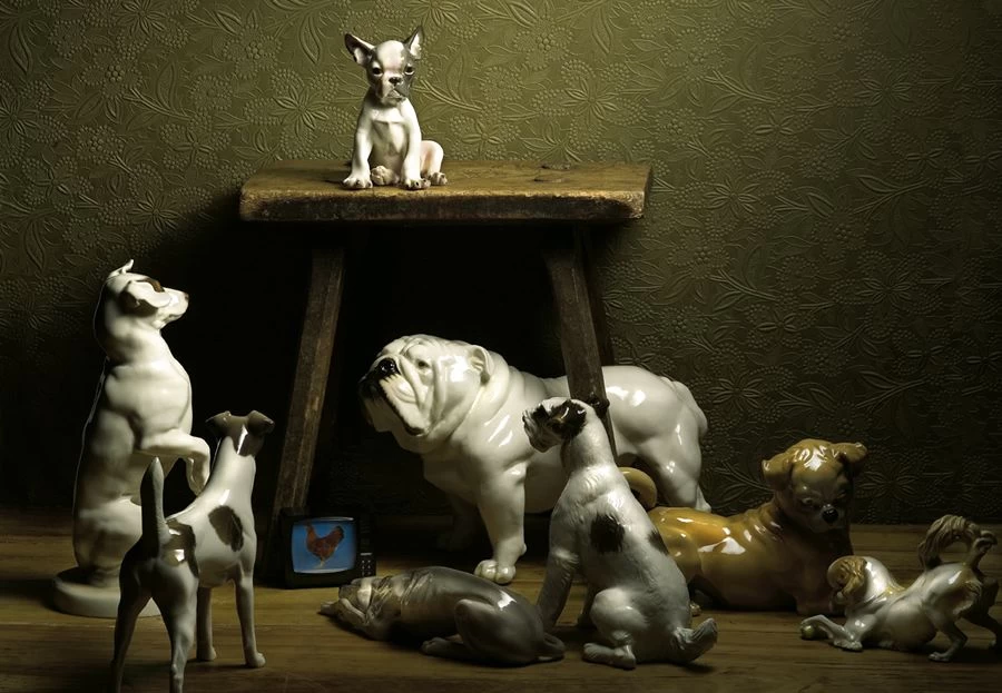 Nymphenburg Japanese Chin Dog - Image 3