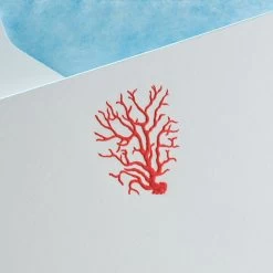 The Printery Coral Boxed Note Cards