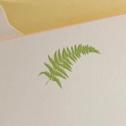 The Printery Fern Boxed Note Cards