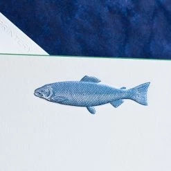 The Printery Fish Note Cards