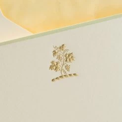 The Printery Grapevine Boxed Note Cards