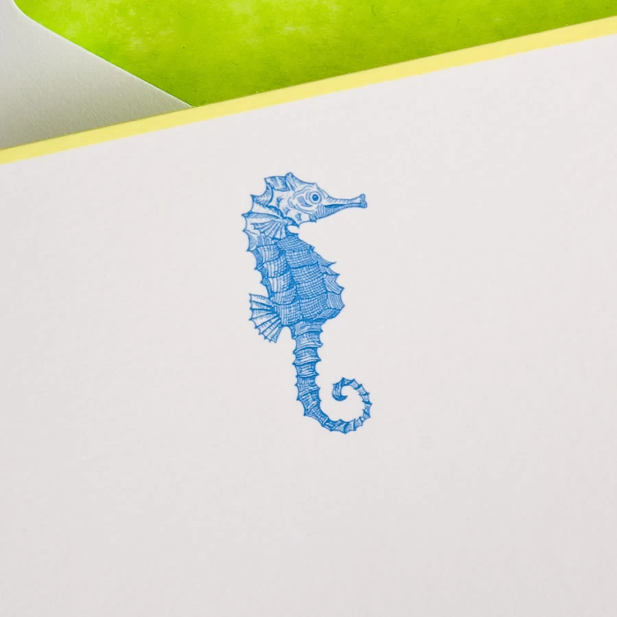 The Printery Seahorse Boxed Note Cards