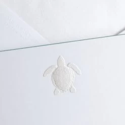 The Printery Turtle Boxed Note Cards