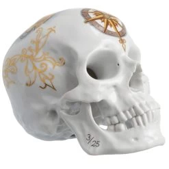 Nymphenburg Memento Mori Skull 2015 Voyage