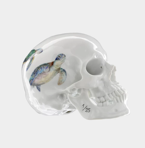Nymphenburg Memento Mori Skull Water Turtle - Image 2