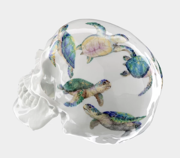 Nymphenburg Memento Mori Skull Water Turtle - Image 3